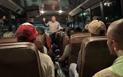 Evening Neighborhood Bus Tour