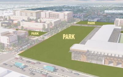 Fairgrounds Park Survey